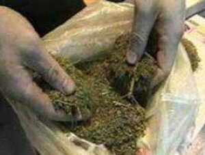 В Севастополе на попытке продать кило марихуаны аврестовали жителя Джанкоя