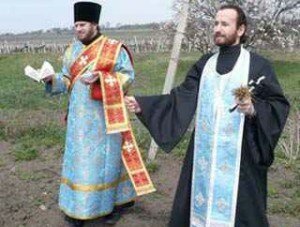 В Балаклаве освятили виноградники