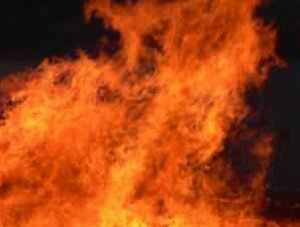 Севастопольские пожарные на прошлой неделе ликвидировали 11 пожаров