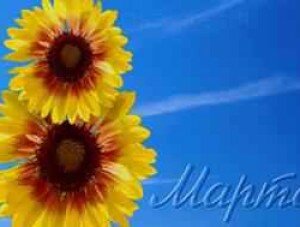 Власти Севастополя предлагают провести мужской субботник накануне 8 марта