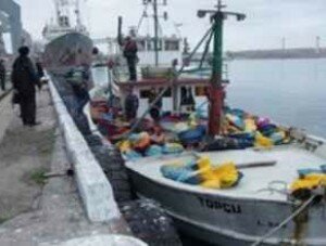 Турецкую браконьерскую шхуну привели в порт Севастополя