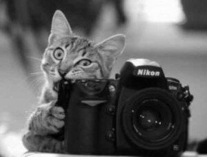 В Севастополе устроят квест «Фотоэкстрим»