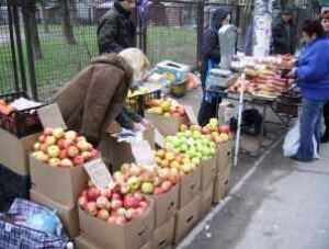 Торгующим напротив бывшего «Московского рынка» бабушкам власти Севастополя ищут новые рабочие места