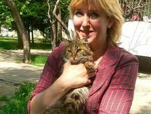 Севастопольские спасатели помогли снять с дерева кошку Фокси